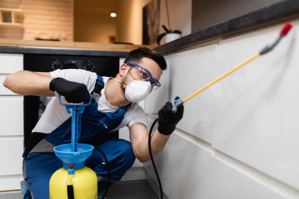 Wasp Removal Services in Monticello, MN