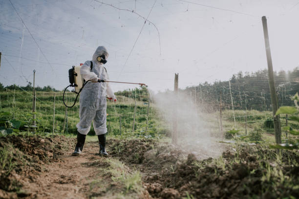 Best Ant Control Services  in Monticello, MN