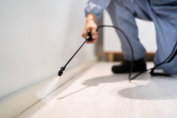 Best Wasp Removal Services  in Monticello, MN