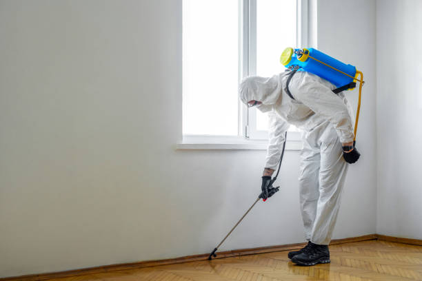 Best Pest Prevention Services  in Monticello, MN
