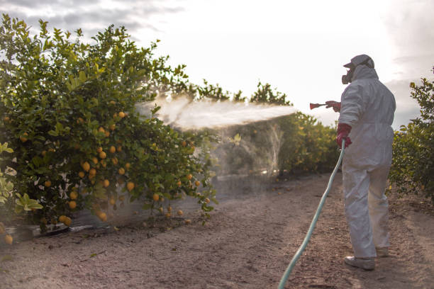 Best Local Pest Control Services  in Monticello, MN