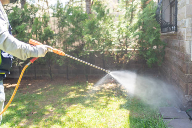 Best Termite Control Services  in Monticello, MN