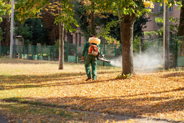 Best Best Pest Control Companies  in Monticello, MN