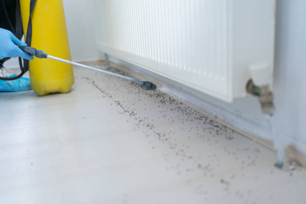 Best Pest Control Near Me  in Monticello, MN