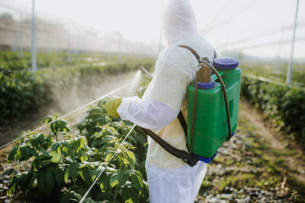 Trusted Monticello, MN Pest Control Experts